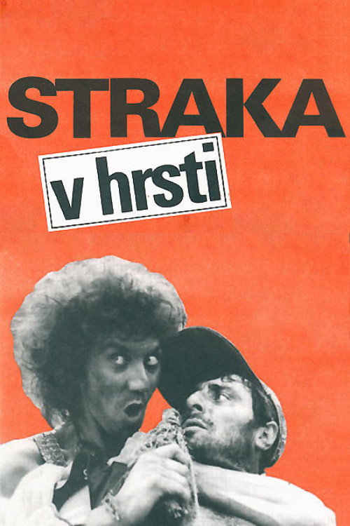 Straka v hrsti (1991) poster