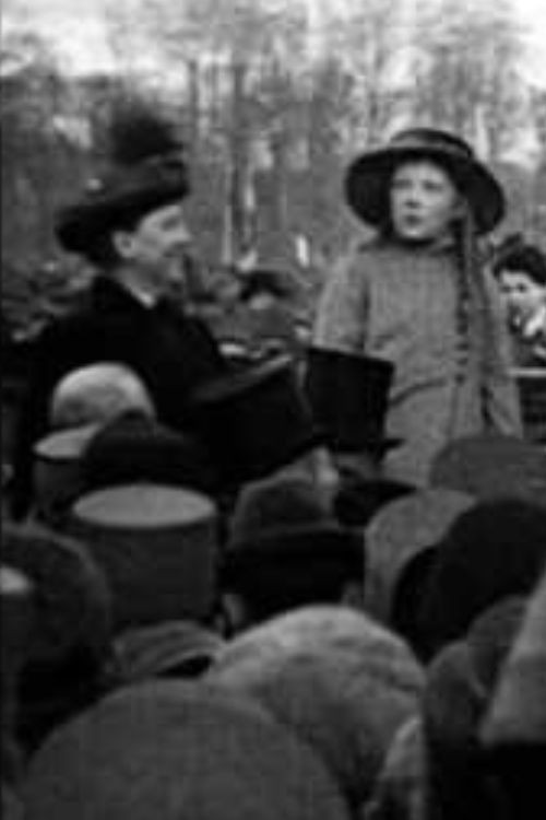 Monster Demonstration on Monday November 18, 1918 on the Malieveld in The Hague (1918) poster