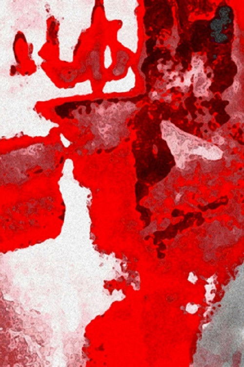 neige noire (2003) poster