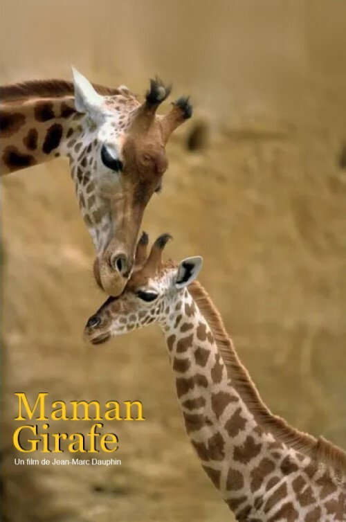 Maman girafe (2020) poster