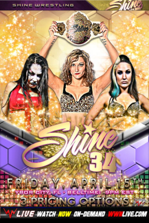 SHINE 34 (2016) poster