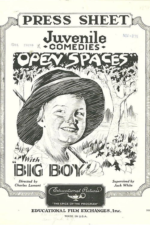 Open Spaces (1926) poster