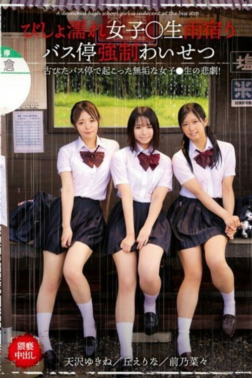 A Dripping Wet Schoolgirl Is Taking Shelter From The Rain At A Bus Stop And Subjected To Filthy Acts (2020) poster