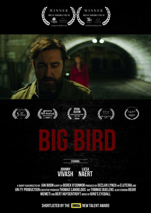 Big Bird (2015) poster