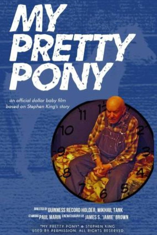 My Pretty Pony (2009) poster