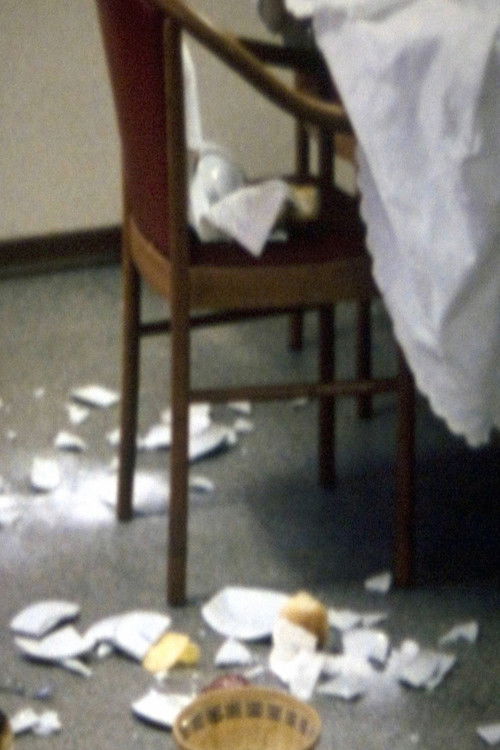 Bachelor Machines Part 1 (2007) poster