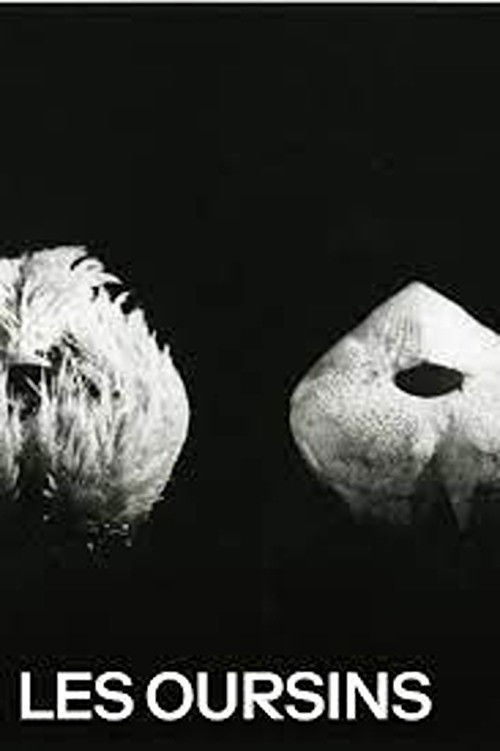 Sea Urchins (1929) poster