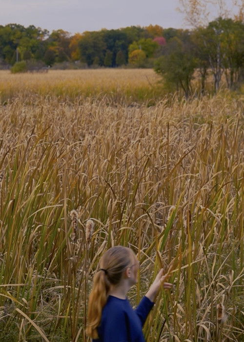 Wheat and Chaff (2025) poster