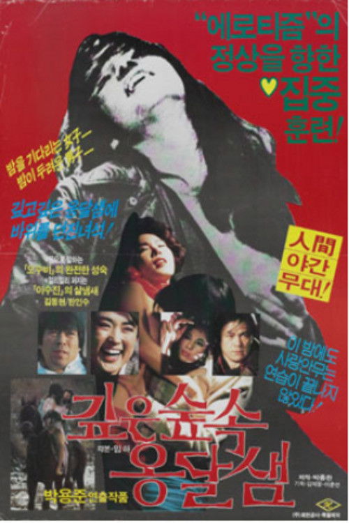 Spring in the Deep Mountain (1985) poster