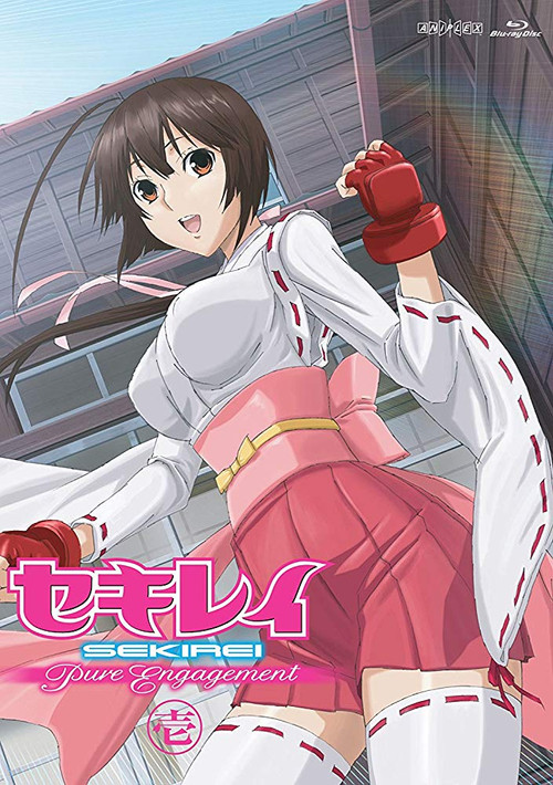Sekirei Pure Engagement Special (2010) poster