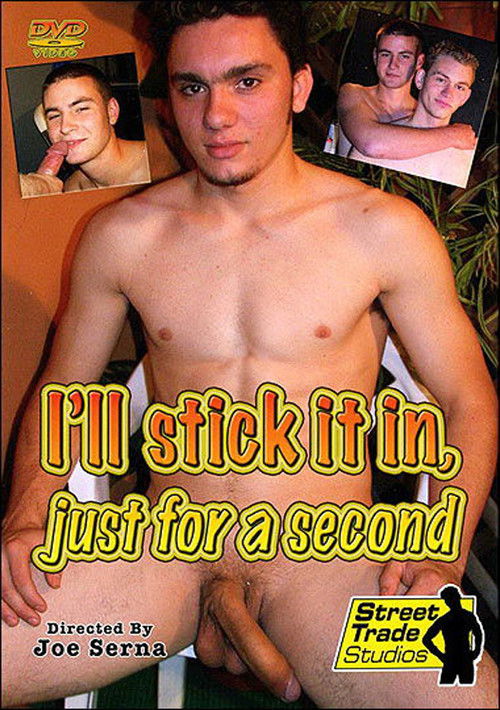 I'll Stick It In, Just for a Second (2007) poster