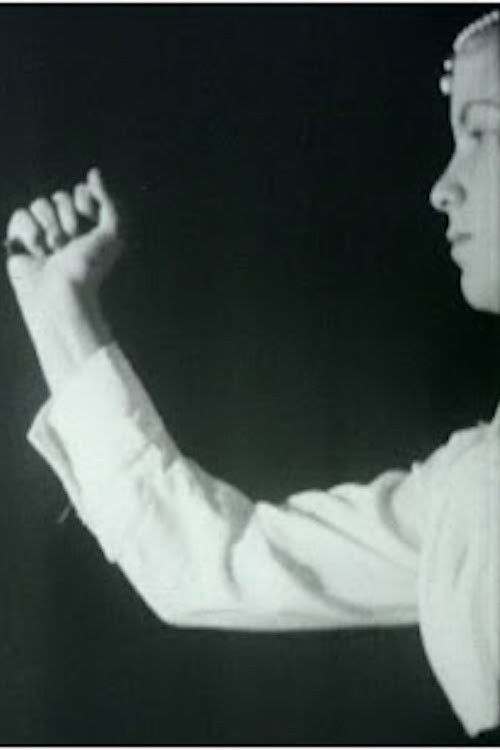 A Touch Of Greatness (2004) poster