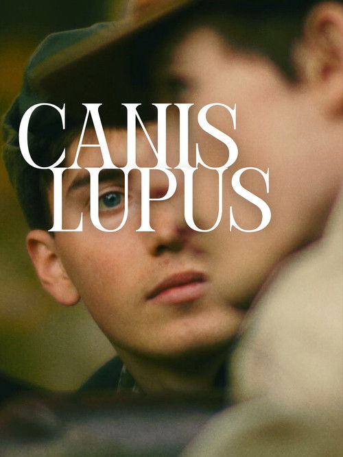 Canis Lupus (2025) poster