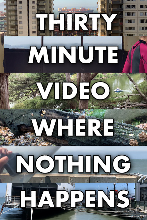 Thirty Minute Video Where Nothing Happens (2023) poster