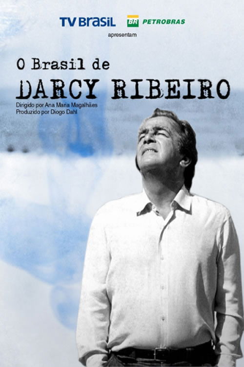 O Brasil de Darcy Ribeiro (2014) poster