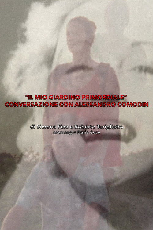 Il Mio Giardino Primordiale : Conversazione con Alessandro Comodin (2017) poster