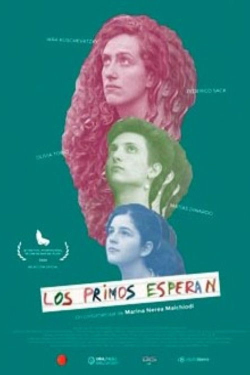 Cousins Wait (2020) poster