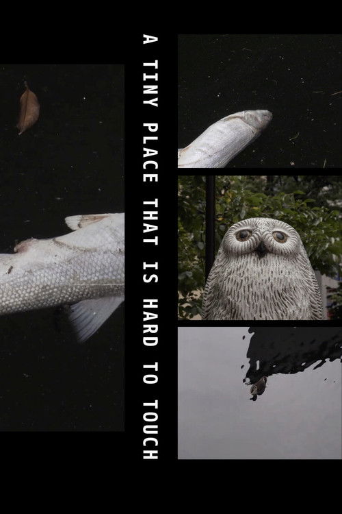A Tiny Place That Is Hard to Touch (2019) poster
