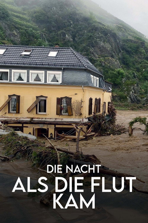 Die Nacht, als die Flut kam - Protokoll einer Klimakatastrophe (2022) poster