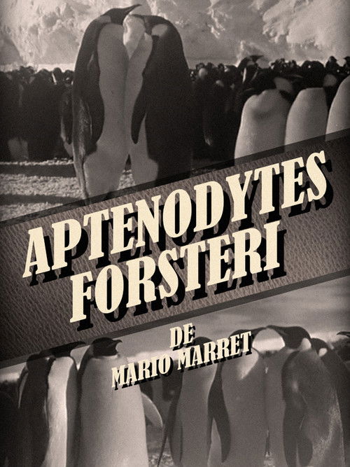 Aptenodytes Forsteri (1954) poster