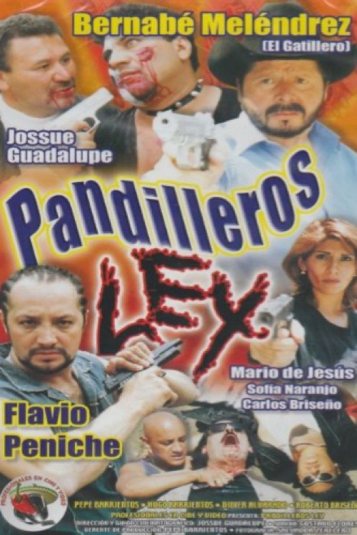 Pandilleros Ley (2005) poster