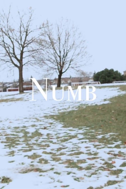 Numb (2024) poster