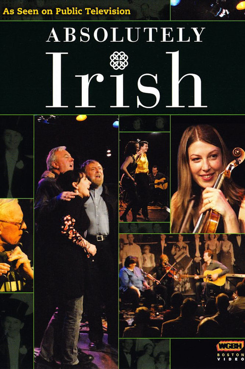 Absolutely Irish (2008) poster