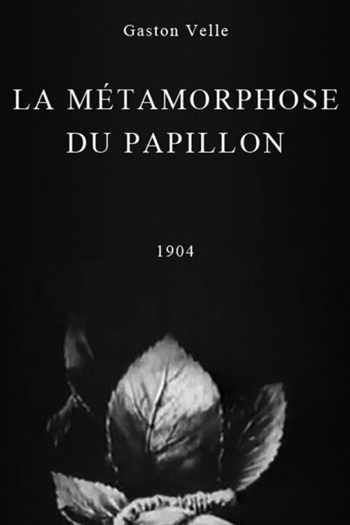 Métamorphoses du papillon (1904) poster