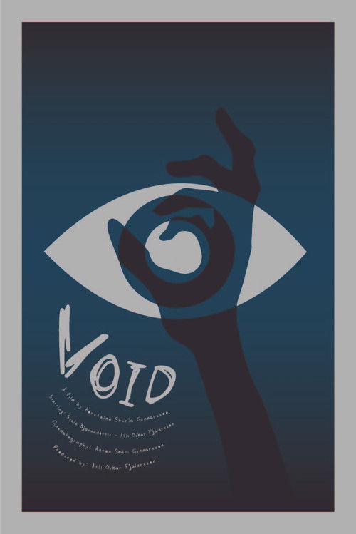 Void (2022) poster