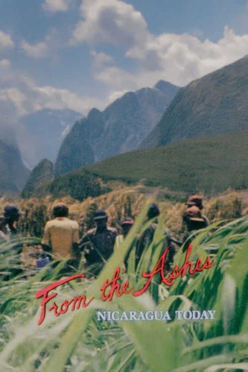 De las Cenizas… Nicarágua Hoy (1982) poster
