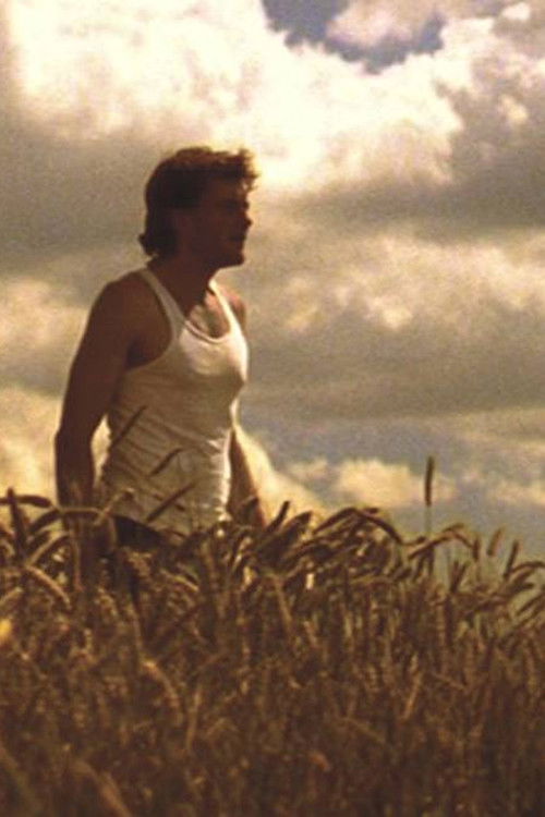 Bliss and Heaven (2005) poster