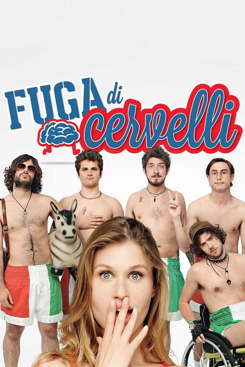 Fuga di cervelli (2013) poster