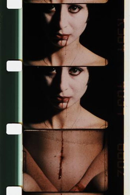 Double Labyrinthe (1976) poster