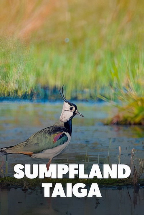 Sumpfland Taiga - Das Berezinsky-Biosphärenreservat (2022) poster