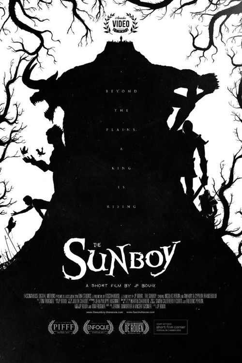 The Sunboy (2014) poster
