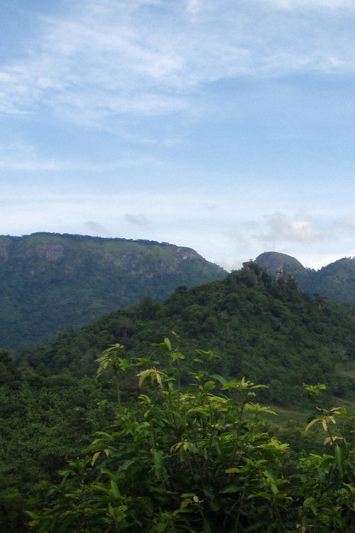 The Headman and I (2007) poster