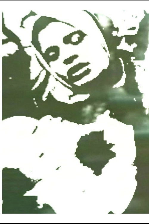 The PSA Project (2005) poster