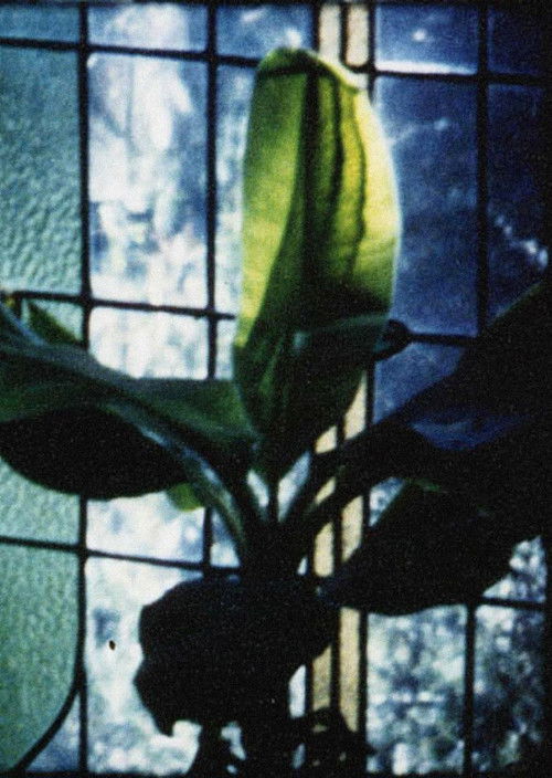 Articulated Image (1996) poster