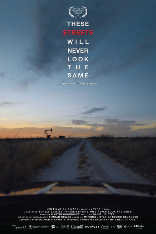 These Streets Will Never Look the Same (2024) poster