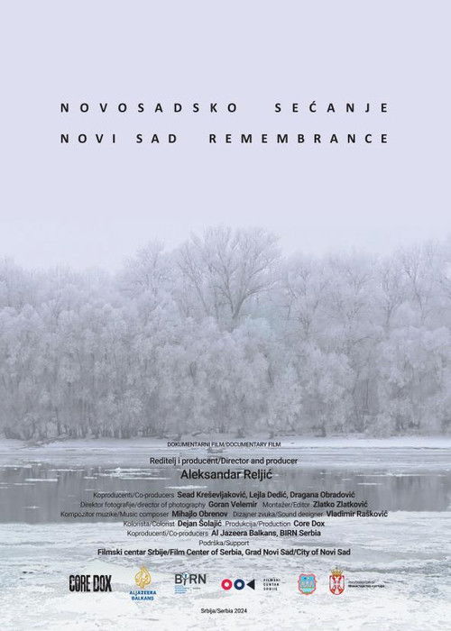 Novi Sad Remembrance (2024) poster