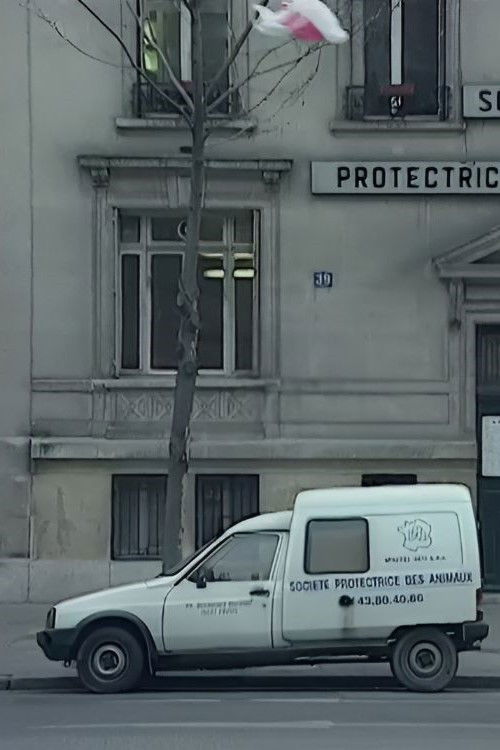 Nous sommes tous des cafards (1997) poster