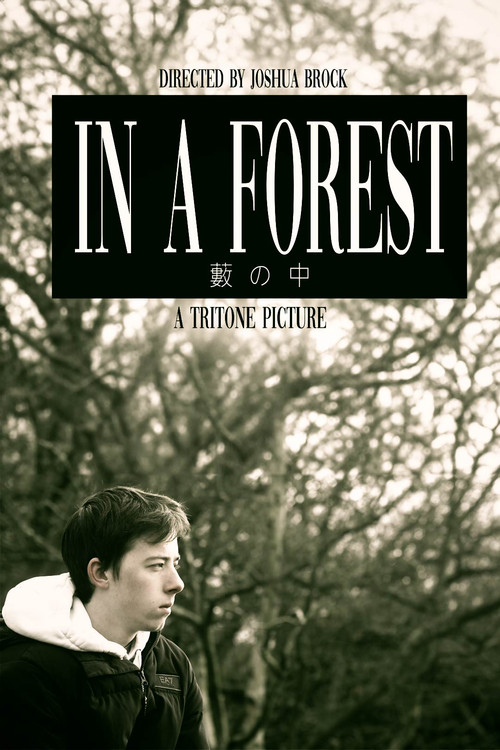 In a Forest (2024) poster