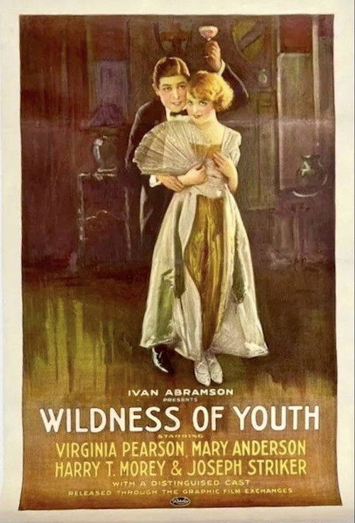 Wildness of Youth (1922) poster