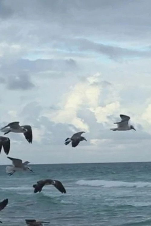 Flying to Nowhere (2018) poster