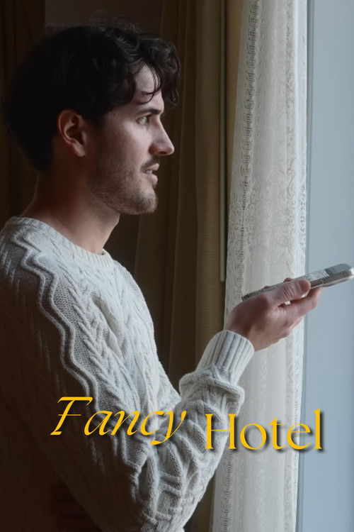 Fancy Hotel (2025) poster