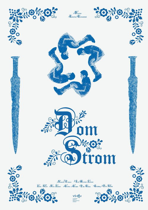 Dom Strom (2024) poster