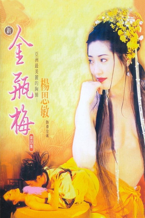 新金瓶梅 第四集 (1996) poster