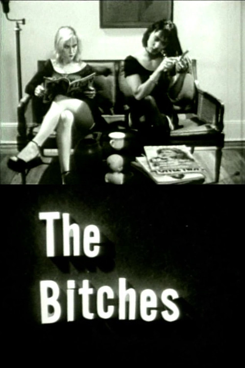 The Bitches (1992) poster