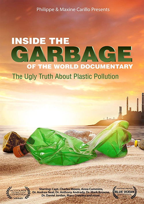 Inside the Garbage of the World (2016) poster