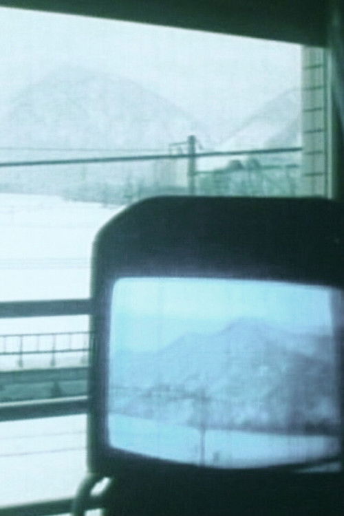 Distorted "Tele" Vision (1997) poster